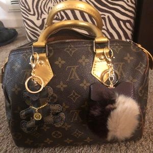 Louis Vuitton speedy 25 custom painted gold